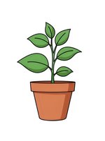 Young green plant growing in terracotta pot with multiple leaves isolated on white background for gardening and nature designs.