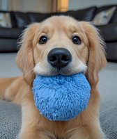 Adorable Golden Retriever puppy holding blue plush ball in mouth while looking up with bright blue eyes, sitting on gray carpet in living room setting.