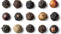 Collection of aged and dried black peppercorns showing various textures, colors and shapes arranged in neat rows on white background, isolated for culinary design.