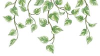 Hanging green leaves on branches isolated on white background, ready for design use on textiles, invitations, and digital projects.