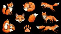 Cute orange fox clipart set with multiple poses, isolated on transparent background. Great for stickers, t-shirt design, print on demand, and sublimation projects.