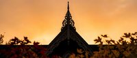 Eiffel Tower silhouette against golden sunset sky with autumn foliage in foreground, romantic Paris evening atmosphere for travel and tourism designs.
