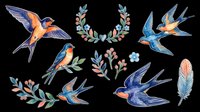 Colorful swallows and decorative botanical elements isolated on transparent background, ready for t-shirt design, clipart, stickers, sublimation, and print-on-demand projects.