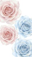 Watercolor roses in soft pink and blue tones on white background for wedding invitations, greeting cards, scrapbooking and romantic design projects.