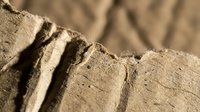 Weathered wood texture with natural grain patterns and cracks showing rustic organic surface for backgrounds and design projects.