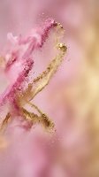 Glitter powder explosion in pink and gold creating an abstract dispersing effect against soft blurred background, suitable for beauty, cosmetics, and luxury design projects.
