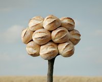 Surreal tree made of fresh baked bread loaves growing in a wheat field under a cloudy sky, creative food concept art.