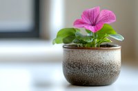 Pink petunia flower in ceramic brown pot with gradient texture against soft blurred background. Minimalist home decor and gardening concept.