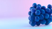 Fresh blue grapes cluster on gradient pink purple background for healthy eating nutrition wellness food photography design projects.