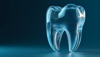 Transparent glass molar tooth on turquoise background showing internal structure and roots, dental care concept for medical and educational presentations.