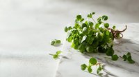 Fresh watercress microgreens on marble surface, vibrant green leaves with delicate stems, natural light highlighting texture for culinary and food photography.
