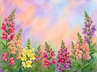 Colorful snapdragon flowers in pink, yellow, and purple bloom against a soft watercolor sky background, perfect for greeting cards and prints.