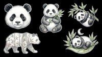 Giant panda head and sitting panda with bamboo leaves, plus bear cub and resting panda on transparent background, ready for t-shirt designs, stickers, clipart and print-on-demand products.