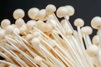 Fresh white enoki mushrooms in macro view showing delicate stems and round caps against dark background, natural organic food photography.