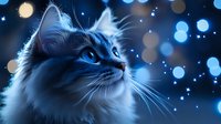Majestic white cat with blue eyes gazing upward against dark background with glowing bokeh lights and sparkles creating magical atmosphere for fantasy designs.