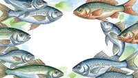 Watercolor fish frame border with various species swimming around white copy space for seafood restaurant menus and marine biology educational materials.