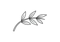 Minimalist line art botanical branch with elongated leaves on white background, isolated design element suitable for logos, web graphics, and print materials.