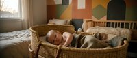 Peaceful newborn baby sleeping in wicker Moses basket on bed in cozy nursery room with colorful geometric wall art and natural lighting for parenting content.
