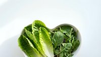 Freshly harvested romaine lettuce and mixed salad greens on white background, suitable for food, nutrition, healthy eating, and culinary content.