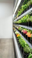 Modern grocery store produce section with fresh herbs and vegetables displayed on refrigerated shelves under LED lighting for healthy shopping experience.