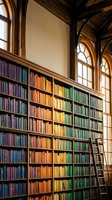 Historic library interior with colorful books arranged by color on wooden shelves, arched windows casting warm light, ladder for academic research and study.