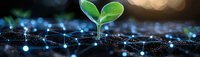 Young green seedling sprouting from soil with digital network connections, symbolizing growth, technology integration, and sustainable innovation in agriculture.