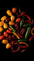 Colorful assorted hot chili peppers on black background featuring red, yellow, orange and green varieties for spicy cooking and culinary ingredients.