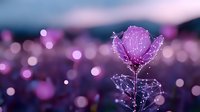 Magical purple flower with water drops and bokeh lights in soft focus. Delicate petals covered in morning dew against blurred dreamy background at dawn.