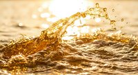 Golden ocean wave splash at sunset with water droplets and dynamic motion creating dramatic seascape moment for nature and marine themed projects.