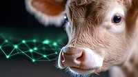 Cow with glowing digital network lines emerging from mouth, representing technology, innovation, and agriculture connectivity for digital farming concepts.