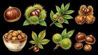 Chestnuts and hazelnuts isolated on transparent background, ready for clipart, t-shirt design, stickers, print-on-demand products, and sublimation projects.