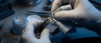Professional watchmaker hands in gloves repairing luxury timepiece with precision tools in workshop. Skilled craftsmanship and horological expertise concept.