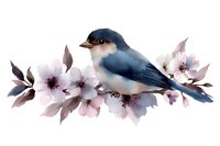 Small blue bird perched on blooming cherry branch with delicate pink flowers and dark leaves, watercolor style artwork on white background.