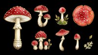 Red and white spotted mushrooms isolated on transparent background, ready for t-shirt design, clipart, stickers, sublimation, print-on-demand products and digital crafts.