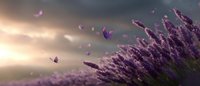 Purple lavender flowers in sunset light with flying butterflies creating dreamy atmospheric panoramic nature scene with soft golden sky background.