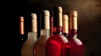 Assorted wine bottles with red and white wines arranged in row against dark background, creating elegant composition for wine tasting or collection showcase.