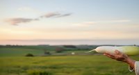 Young farmer holding a soil sample in hand against expansive green agricultural field at sunset, representing sustainable farming practices and land management for agriculture industry.