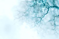 Ethereal blue watercolor branches create delicate organic patterns against white background, evoking natural flow and movement in soft aqua tones.