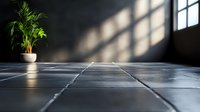 Minimalist interior with dramatic window light casting geometric shadows on dark floor tiles, featuring single potted palm plant in white ceramic container.