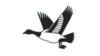 Flying goose silhouette with outstretched wings in black and white design isolated on transparent background for logos and decorative projects.