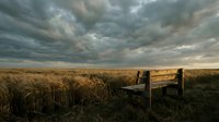 Weathered wooden bench sits alone in vast golden grassland beneath dramatic stormy sky, evoking solitude and contemplation in rural landscape for editorial and conceptual projects.