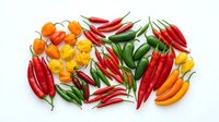 Assorted fresh chili peppers in red, yellow, and green varieties arranged on white background, ready for cooking, culinary design, and food photography projects.