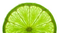 Lime slice half isolated on white background, fresh citrus fruit cross section with translucent segments for beverage, food and design projects.