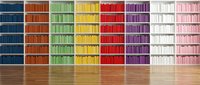 Colorful rainbow bookshelf with organized books arranged by color from blue to pink on wooden floor creating vibrant library display for interior design.