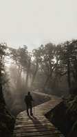 Hiker with backpack and trekking pole standing on wooden boardwalk through misty forest with tall trees and fog, suitable for travel and adventure themes.