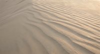 Desert sand dunes with natural wind-carved ripple patterns creating textured landscape surface for travel and nature backgrounds.