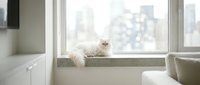 Fluffy white cat resting on windowsill with urban cityscape view in background, relaxed pet lounging indoors by window.