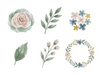 Watercolor botanical elements including rose, leaves, wildflowers and wreath isolated on white background. Ready for wedding invitations, greeting cards, scrapbooking and design projects.