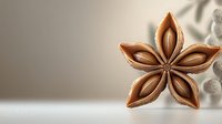 Star anise spice macro shot on soft blurred background showing detailed texture and natural brown color pattern of aromatic Asian seasoning.
