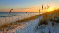 Tranquil beach sunset with sea oats swaying on white sand dunes, golden light illuminating coastal grasses as waves roll onto shore, peaceful evening seascape.